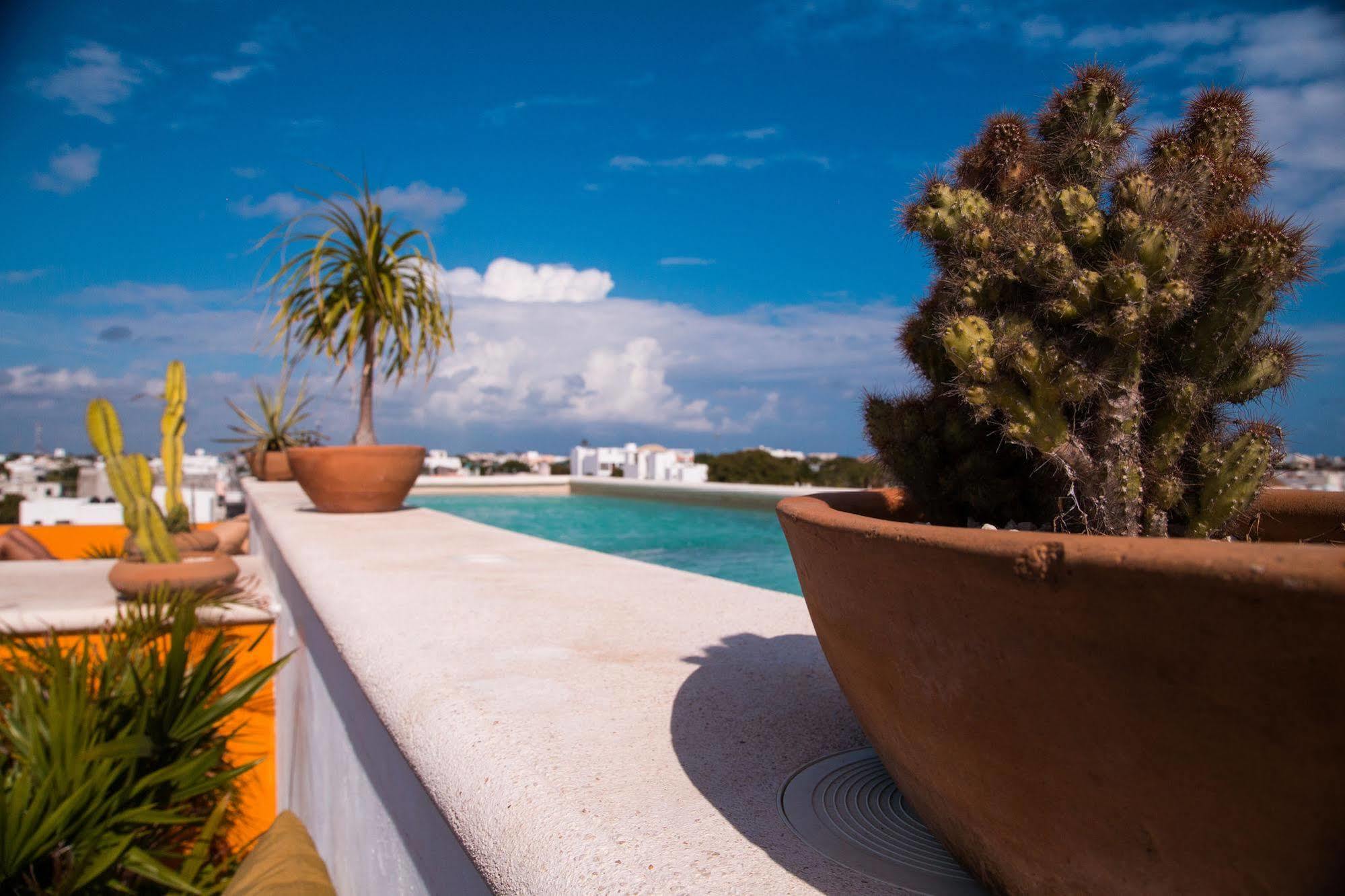 La Galeria By Bunik Hotel Playa del Carmen Exterior foto