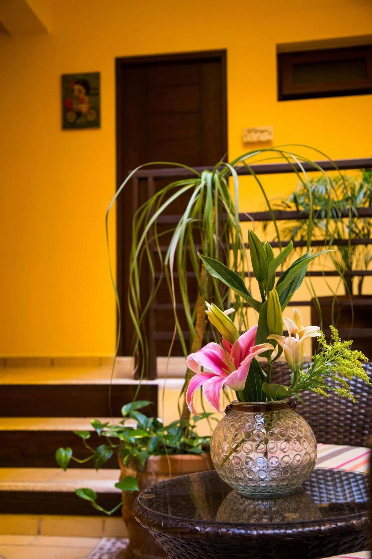 La Galeria By Bunik Hotel Playa del Carmen Exterior foto